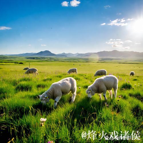 探索亚洲青青草原的广袤与神秘 探索亚洲青青草原的广袤与神秘